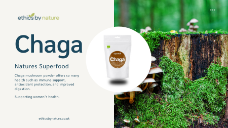 Chaga health Chaga Powder